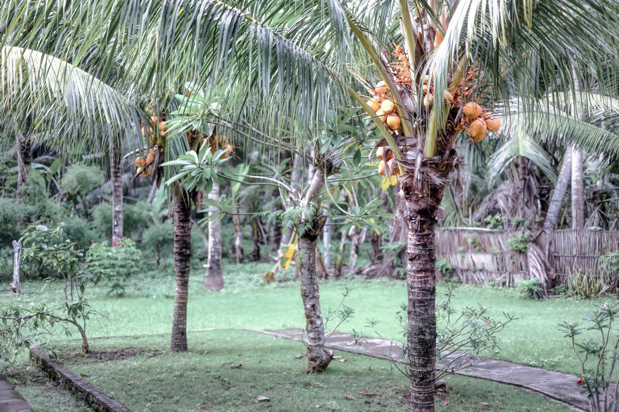 Komurd Lavender Bungalow Sakti المظهر الخارجي الصورة
